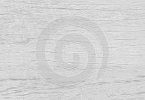 White timber or wooden background