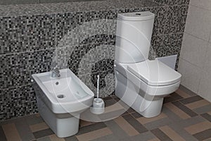 White toilet and bidet