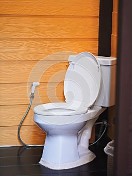 White toilet bowl against orange wood wall tiles in bathroom.