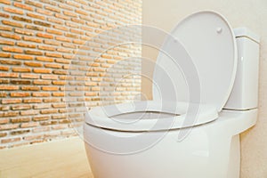 White toilet bowl and seat