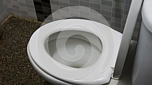 White toilet bowl seat in a modern interior design bathroom with pebble wash floor