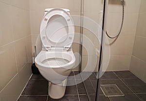 White toilet bowl with shower cabin on luxury hotel bathroom