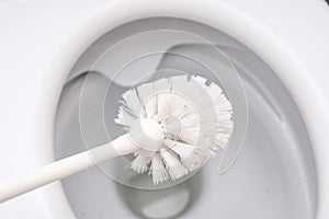 White toilet brush ready to clean toilet bowl, concept for house cleaning and household duties