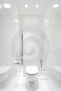 White Toilet photo