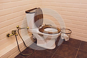 white toilet in modern home, white bowl in cleaning room, flushing liquid, private toilet in modern room, interior