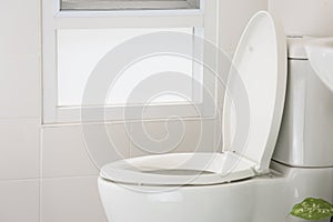 White toilet in modern home, white toilet bowl in cleaning room, flushing liquid in toilet, private toilet in modern room