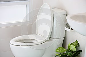 White toilet in modern home, white toilet bowl in cleaning room, flushing liquid in toilet, private toilet in modern room