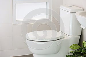 White toilet in modern home, white toilet bowl in cleaning room, flushing liquid in toilet, private toilet in modern room