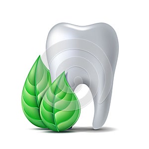 White tooth with green leaves. Green fresh leaves clean fresh concept.