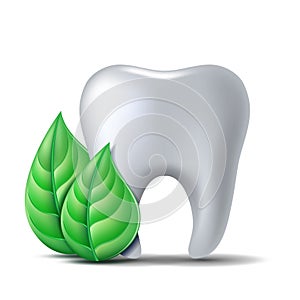 White tooth with green leaves. Green fresh leaves clean fresh concept.