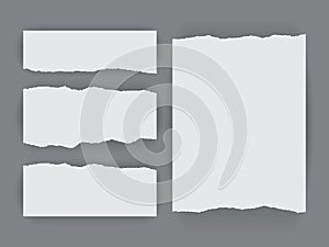 White torn paper isolated on dark background