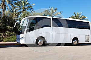 White Tour Bus