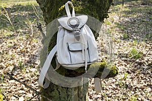 A white tourist backpack hangs on a tree. The tree is covered with moss.