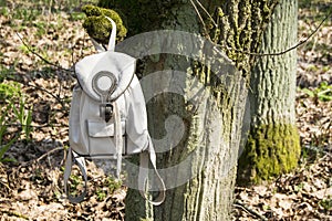 A white tourist backpack hangs on a tree. The tree is covered with moss.