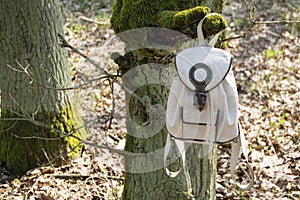 A white tourist backpack hangs on a tree. The tree is covered with moss.