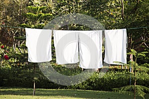 White towels drying on washing line