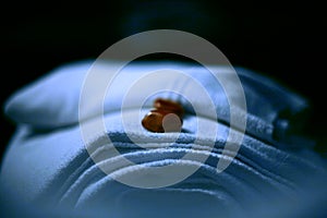 White towels with stones