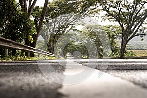 White traffic lines On a beautiful road There is a tree tunnel in Phang Nga, Thailand