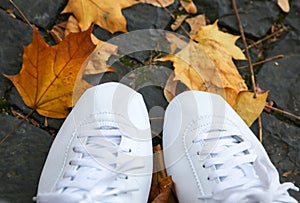 White trainers standing on autumn leaves. Hipster style photo