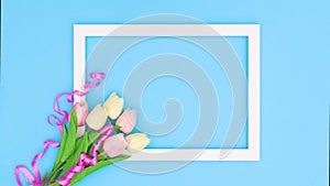 White transparent frame with tulips on blue theme. Stop motion