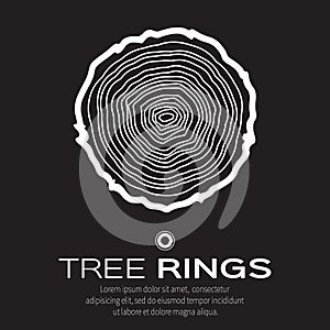 White Tree rings background and saw cut tree trunk , forestry and sawmill.