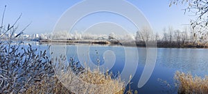 White trees, bushes and grass covered with frost on the coast of calm lake. Sunny frosty morning.