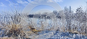 White trees, bushes and grass covered with frost on the coast of calm lake. Sunny frosty morning.