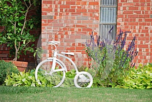 White Tricycle in House Flower Bed