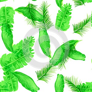 White Tropical Botanical. Organic Seamless Leaves. Green Pattern Botanical. Natural Drawing Background. Banana Leaf. Spring Palm.