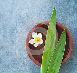 White tropical flower in thr water with green leaves