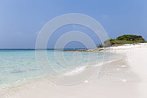 White, tropical sandy beach in the Maldives