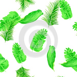 White Tropical Textile. Organic Seamless Botanical. Green Pattern Foliage. Natural Drawing Foliage. Banana Leaf. Spring Plant.