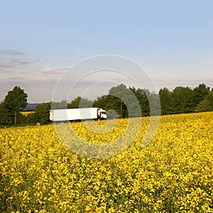 White truck behind a bright field