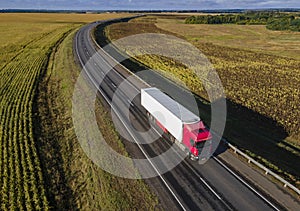 White Truck with Cargo Semi Trailer Moving on Summer Road. Aerial Top View