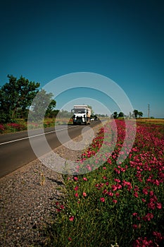A white truck drives along an asphalt road in the countryside. Vertical photo of summer road and poppy field