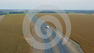 White truck with trailer moves along the autobahn among fields with wheat - aerial shot