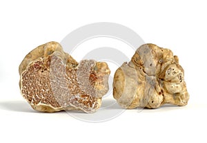 White truffle