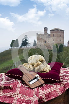 White truffles from Piedmont Italy