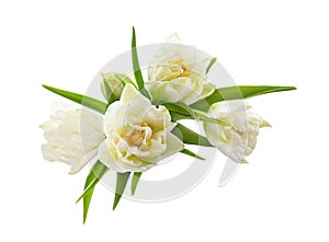 White tulip flowers in a floral arrangement isolated on white