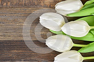 White tulips