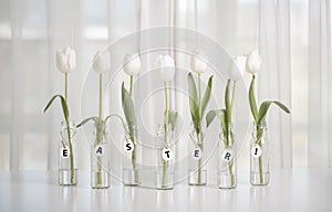 White tulips in bottles with Easter decoration in the form of eggs on a white table