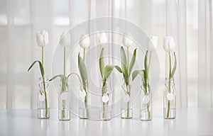 White tulips in bottles with Easter decoration in the form of eggs on a white table
