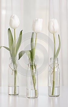 White tulips in bottles with Easter decoration in the form of eggs on a white table