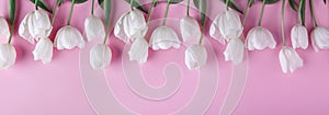 White tulips flowers over light pink background. Greeting card or wedding invitation.