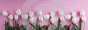 White tulips flowers over light pink background. Greeting card or wedding invitation