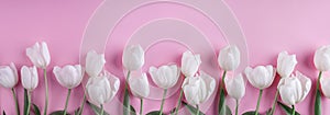 White tulips flowers over light pink background. Greeting card or wedding invitation.