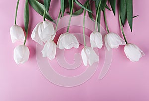 White tulips flowers over light pink background. Greeting card or wedding invitation.