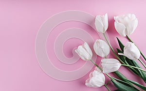 White tulips flowers over light pink background. Greeting card or wedding invitation. photo