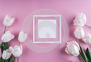 White tulips flowers on pink background with frame for letter. W