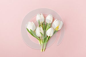 White tulips on pink background